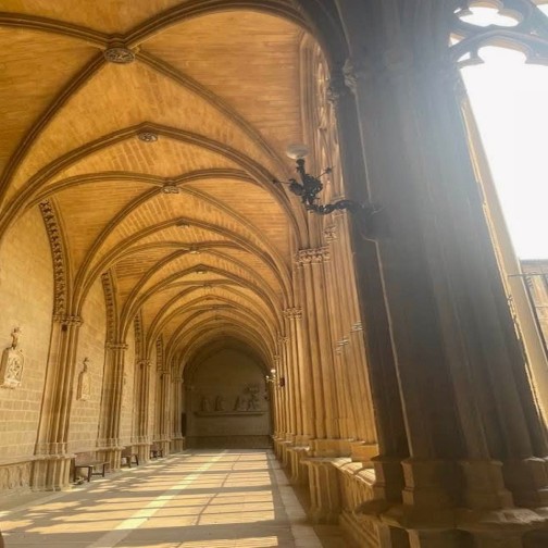 Pasaje de la Catedral Santa Maria-Pamplona-Navarra-España2025
